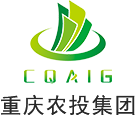 重庆市4008云顶国际集团集团有限公司